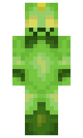 Heimeindringer minecraft skin