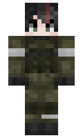 Domnitac minecraft skin