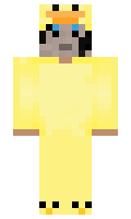 ed5fd8116cb157 minecraft skin