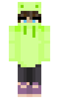 ed5ffb8491548d minecraft skin