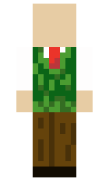 TegidAW minecraft skin