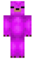 kittykatnz minecraft skin