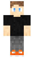 Joel minecraft skin