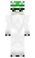 ee01194871e0b2 minecraft skin