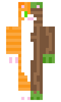 ee1f4b766fd89d minecraft skin