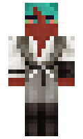 ee2ef8f3962498 minecraft skin