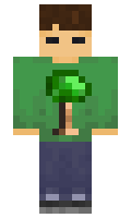 ee368813e539c6 minecraft skin