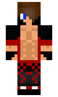 ninjoitr minecraft skin