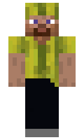 ee41536e278bb7 minecraft skin