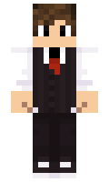 ee5ed613d9c950 minecraft skin