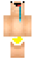 setn minecraft skin