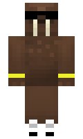 ee90c8e11c0f43 minecraft skin