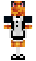 ee91aadc66898a minecraft skin