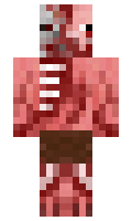 Brin minecraft skin