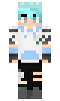 Contrasty911 minecraft skin