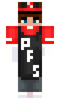 eec4aeae5ce2d5 minecraft skin