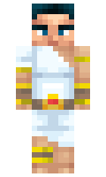 erikvanduyn minecraft skin
