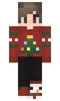 ef1cf5f6755617 minecraft skin