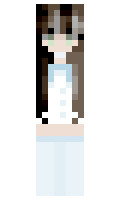qnglsv minecraft skin