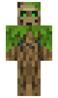 THESHADYWILLOW minecraft skin