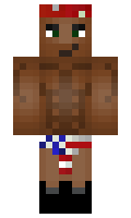 wsx3611601 minecraft skin