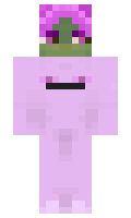 ef4f7ca8f8d761 minecraft skin