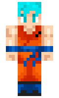Dhruv017 minecraft skin
