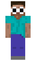 noriakiturtleoin minecraft skin