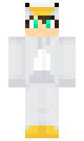 Arcticseagull minecraft skin