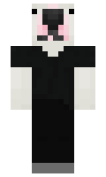 zadrowMajor minecraft skin