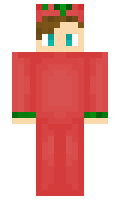 TomTomato1 minecraft skin