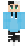 effc0035a8741e minecraft skin