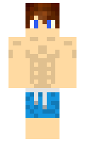 f01593c23492cf minecraft skin