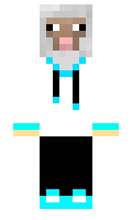 mario2412 minecraft skin