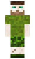 piwas minecraft skin