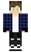 f03fd4dd666c8f minecraft skin