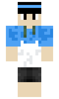f040d8859720fd minecraft skin