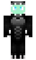 f06d6de24217f3 minecraft skin