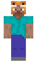 Noak minecraft skin