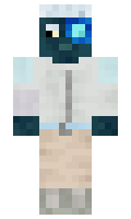 f0bfc12edcf173 minecraft skin