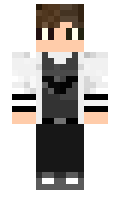 f0c6991165f17e minecraft skin