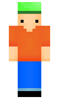 f0cb9dbcfc8a33 minecraft skin