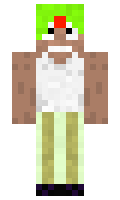 f0d013cf5f4e1d minecraft skin