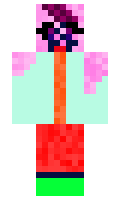 f13a6b63698ccf minecraft skin