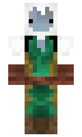 CrazyYeti11 minecraft skin