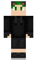f169a9a07291ff minecraft skin