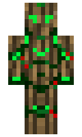 TBEBM8 minecraft skin