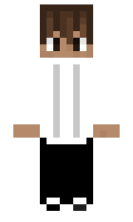 f17a2702d410b8 minecraft skin