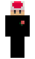 VONT minecraft skin