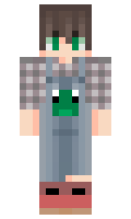 f1b51eb4569dcb minecraft skin